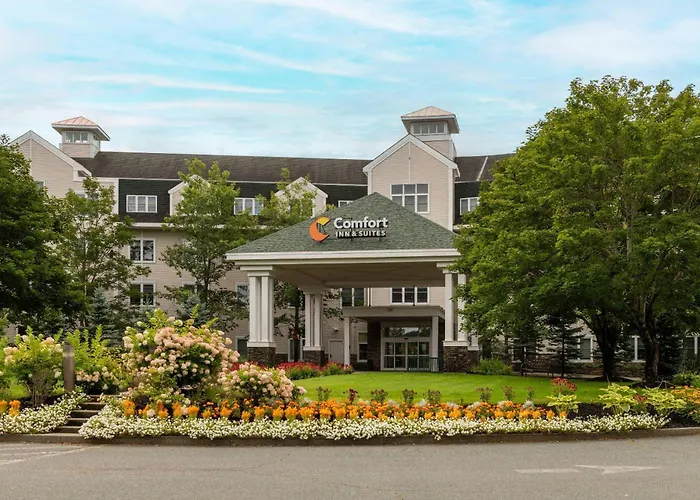 Comfort Inn & Suites Near Burke Mountain